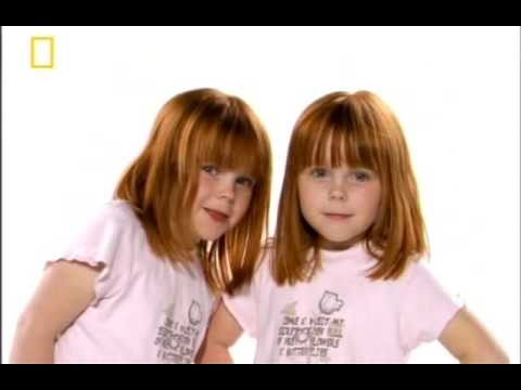 სიცოცხლე დაბადებამდე (2) - Twins